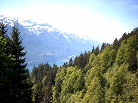 PICT0017