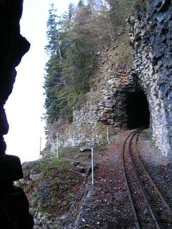 20050511_09111