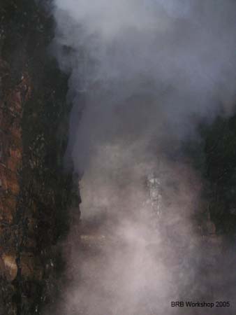 20050511_09291