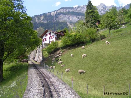 20050513_15143