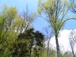 20050511_1331
