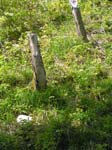 20050513_15061