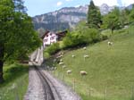 20050513_15143