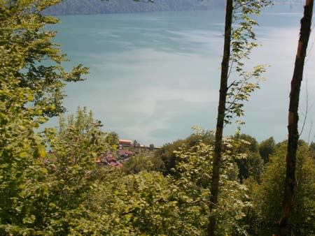 Blick auf See