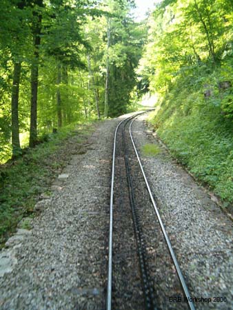 Gleistrasse im Burgerwald