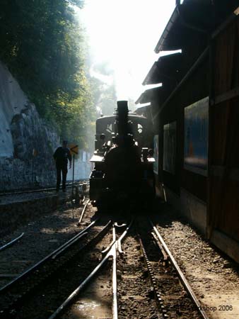 Paul und Nr. 1 im Gegenlicht