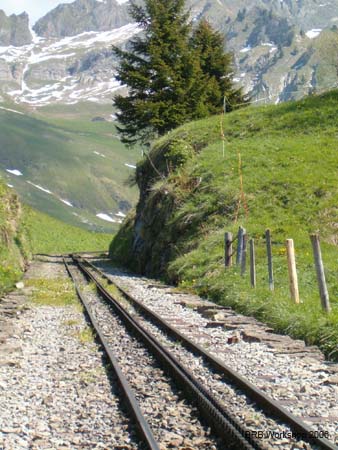 Trasse bei Hangi
