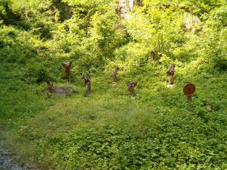 Verwaltungsrat