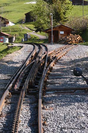 Zweilammelige Weiche