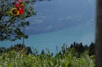 Ausblick vom Mittagessen