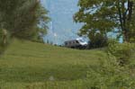 Oestreicher unterhalb Planalp