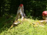 Zwerg und Pilz