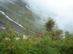 brienz101