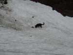 brienz115