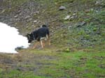brienz36