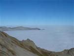 brienz132