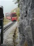 brienz181